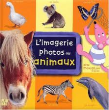 L'imagerie photos des animaux